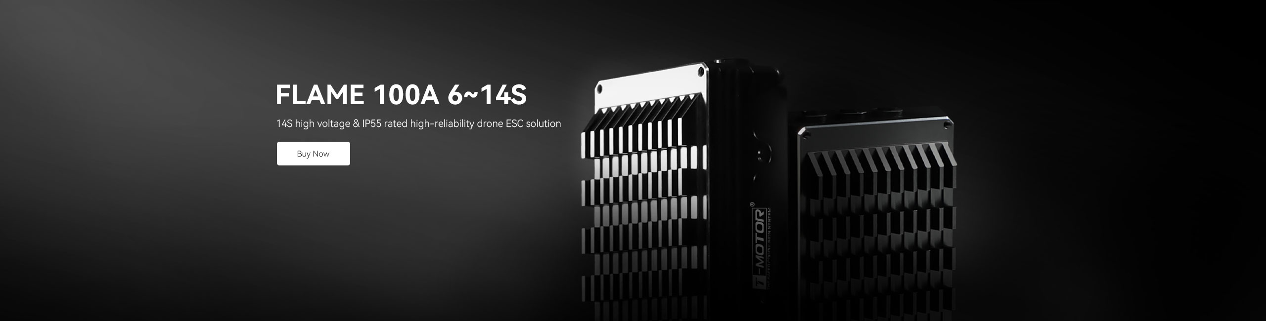 FLAME 100A 14S