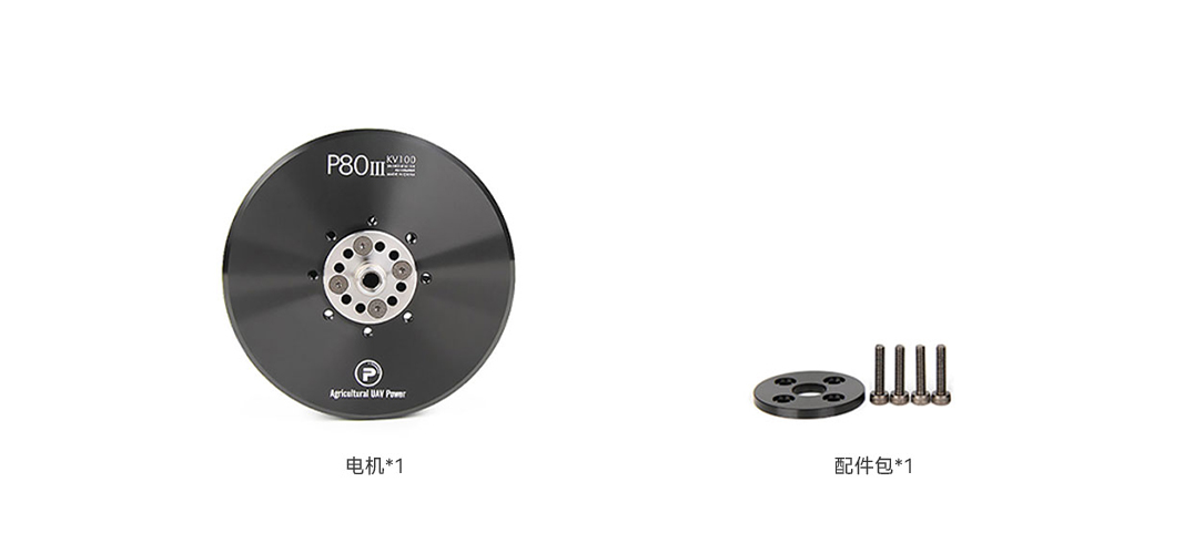 P80非插销版中文.jpg