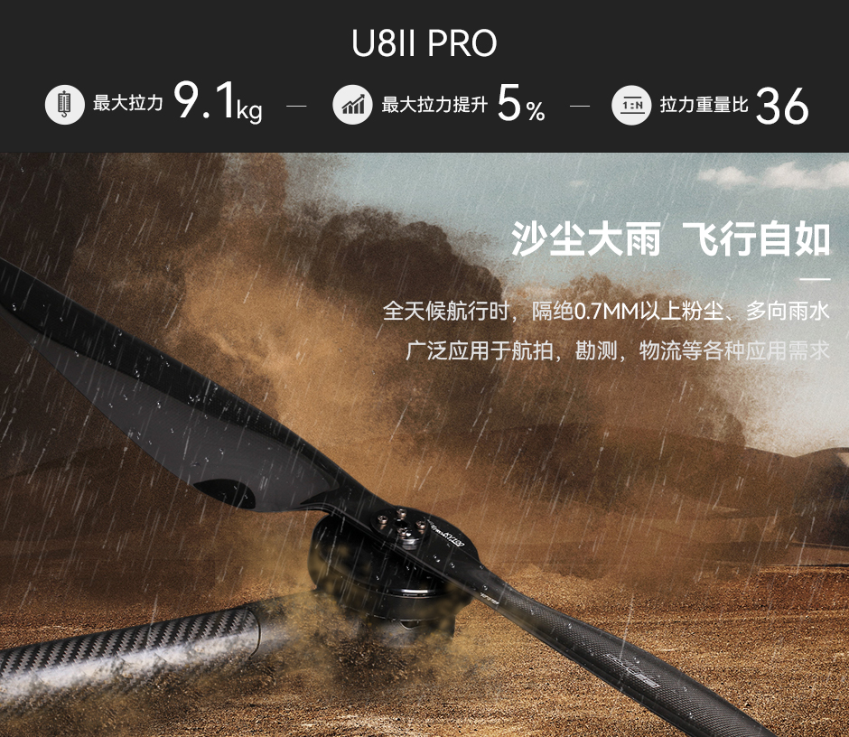 沙尘大雨 飞行自如