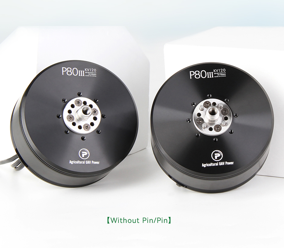 P80Ⅲ pin both versions
