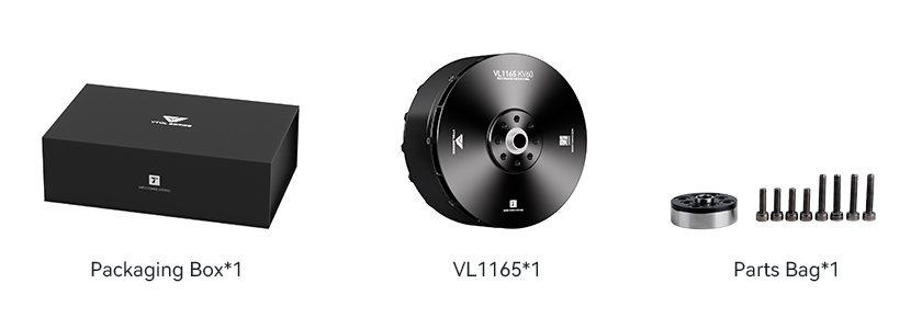 VL1165-pack-en.jpg VL1165-pack-en.jpg